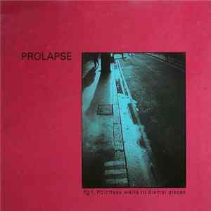 FLAC Prolapse - Pointless Walks To Dismal Places