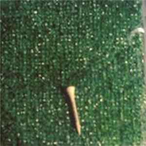FLAC Your Mother - The Golfing Record