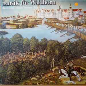 FLAC Beethoven, Haydn, Stich, Mozart, Albert Linder, Willi Rütten, Das Weller-Quartett - Musik Für Waldhorn
