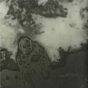FLAC Boston 168 - Phenomena Part 2