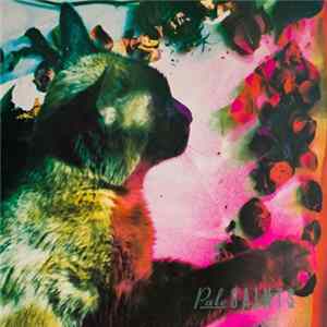 FLAC Pale Saints - The Comforts Of Madness