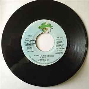 FLAC Anthony B - Wave Of The Croses
