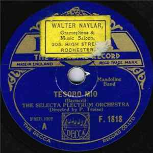 FLAC The Selecta Plectrum Orchestra - Tesoro Mio / Blue Danube