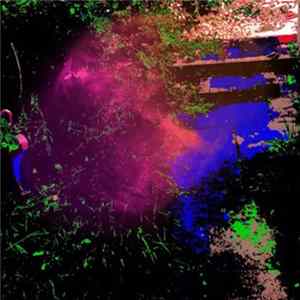 FLAC The Legendary Pink Dots - 12 Steps Off The Path