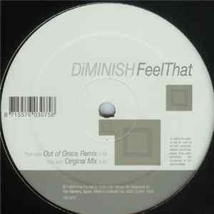 FLAC Diminish - Feel That