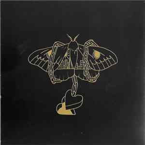 FLAC David Gray - Gold In A Brass Age