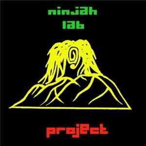FLAC Ninjah Lab - Project