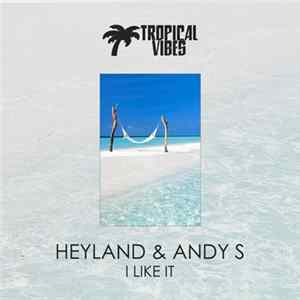 FLAC Heyland & Andy S - I Like It