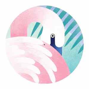 FLAC Various - Captivate 003