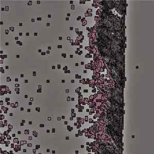 FLAC Mikhail Lezin - Quagga Mussel