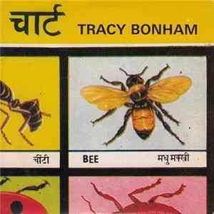 FLAC Tracy Bonham - Bee