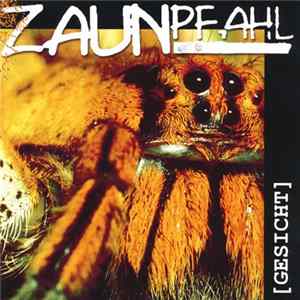 FLAC Zaunpfahl - Gesicht