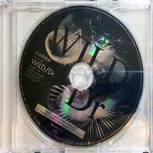 FLAC 安室奈美恵 - Wild / Dr.