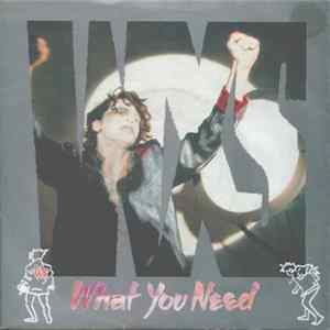 FLAC INXS - What You Need