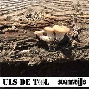 FLAC Uls De Tol - Evansville