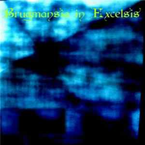 FLAC Brugmansia In Excelsis - Brugmansia In Excelsis