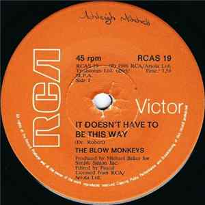 FLAC The Blow Monkeys - It Doesn't Have To Be This Way