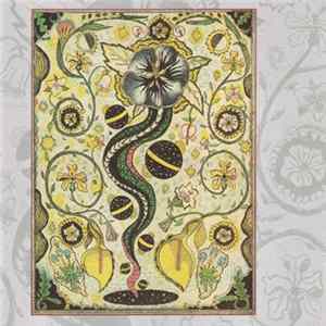 FLAC Steve Earle - I Feel Alright