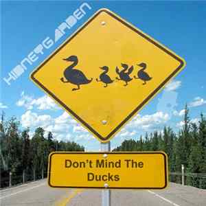 FLAC Kidneygarden - Don't Mind The Ducks