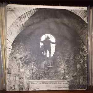 FLAC Pig Rider - Animals With Few Teeth And Small Brains