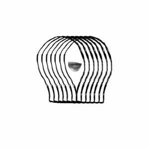 FLAC Heinali - Iridescent