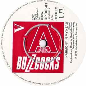 FLAC Buzzcocks - Harmony In My Head