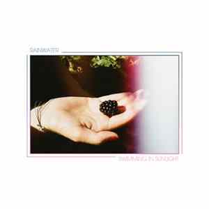 FLAC Rainwater - Swimming In Sunlight