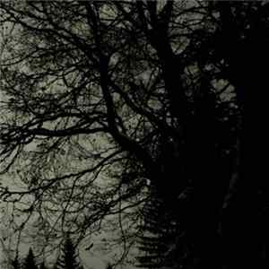 FLAC Wehmutshall - Demo