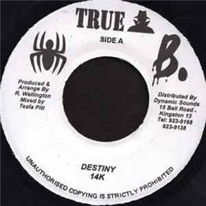 FLAC 14k / D.J. Lippo - Destiny / Bad Mind