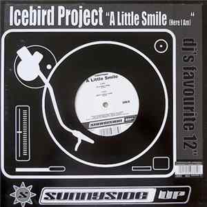 FLAC Icebird Project - A Little Smile (Here I Am)