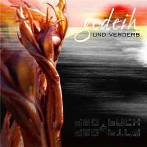 FLAC das Buch & das Bild - Gedeih Und Verderb
