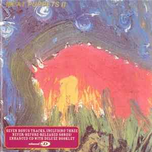 FLAC Meat Puppets - Meat Puppets II