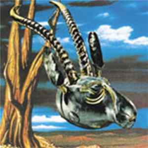 FLAC The Skygreen Leopards - Jehovah Surrender
