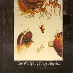 FLAC The Wolfgang Press - Big Sex