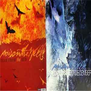 FLAC Poison The Well - The Opposite Of December I Tear From The Red