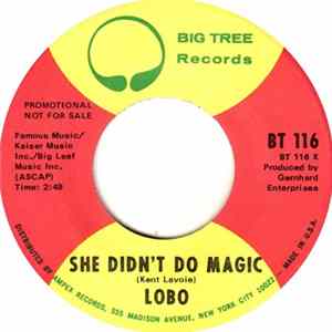 FLAC Lobo - She Didn't Do Magic