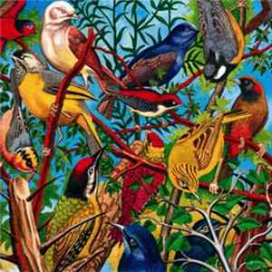 FLAC Daniel Menche - Creatures Of Cadence