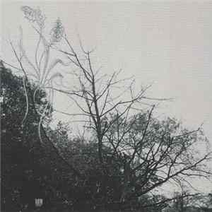 FLAC Sadness - Rain