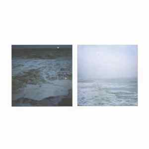 FLAC Various - Remise / Assume