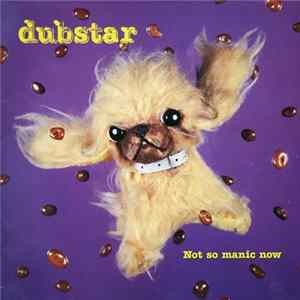 FLAC Dubstar - Not So Manic Now
