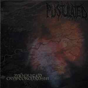 FLAC Pustulated - Inherited Cryptorchidism