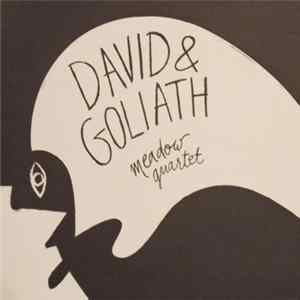 FLAC Meadow Quartet - David & Goliath