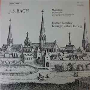 FLAC J. S. Bach, Gerhard Herwig, Essener Bachchor - Motetten