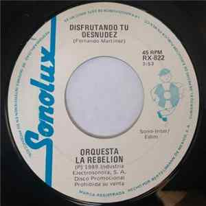 FLAC Orquesta La Rebelion - Disfrutando Tu Desnudez