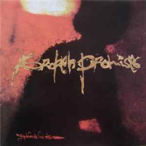 FLAC Broken Promises - Dying Before The First Step