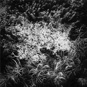 FLAC Asteroid Anxiety - Ming Antu