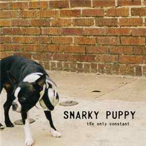 FLAC Snarky Puppy - The Only Constant