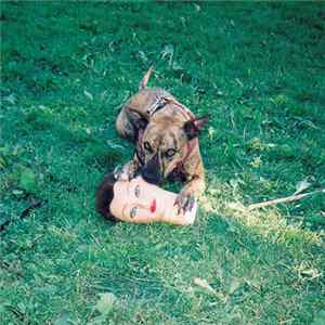 FLAC Joyce Manor - Cody