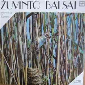 FLAC No Artist - Žuvinto Balsai / Bird Voices Of Žuvintas / Голоса Птиц Жувинтаса
