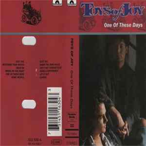 FLAC Toys Of Joy - One Of These Days
